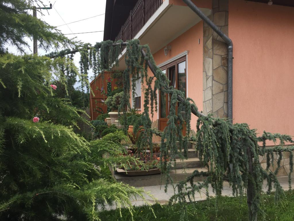 Valentin Vendeghaz Hotel Balatonlelle Exterior foto